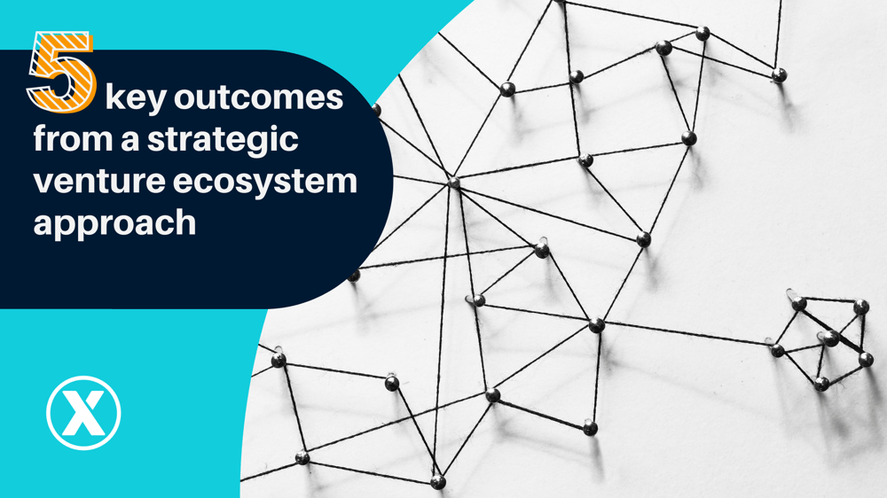 Newsletter Feature Image - Ecosystems for Growth